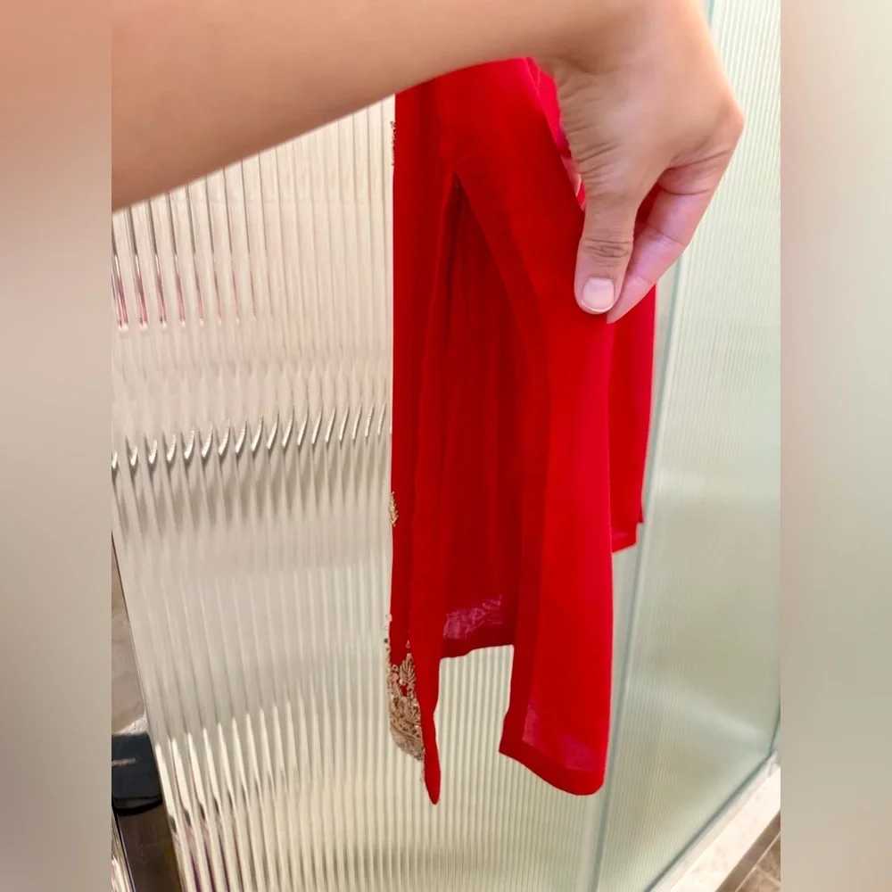 Elegant Red Embellished Pakistani Saree - Picture 5 of 5